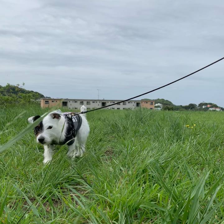 1ca0b425 ad1b 4998 84b1 13eb673e70f4 1651105514015