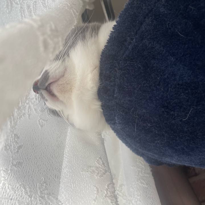 1ca0c9af a141 49c9 aba6 4dadde8aec11 1698019234903