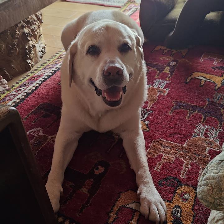 1ca0cf1d 4be6 4f6c 876a 2b16ec1c349a 1757590863951