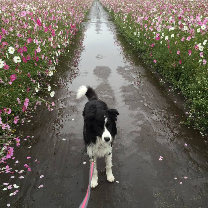 1ca0da91 ba6a 4564 b95b a0c7188a1889 1542003712663