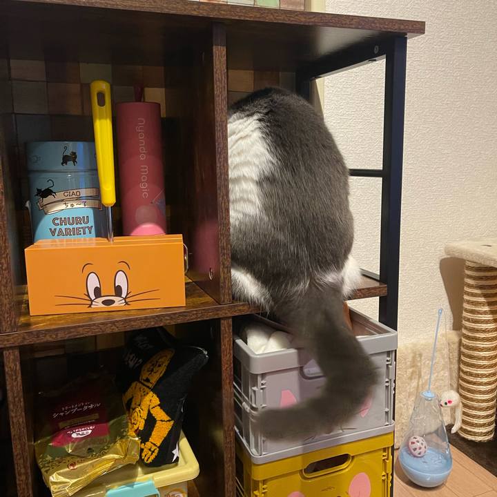 1ca0dbf5 c38b 4ffe 868d abacaa95e42b 1699950894093