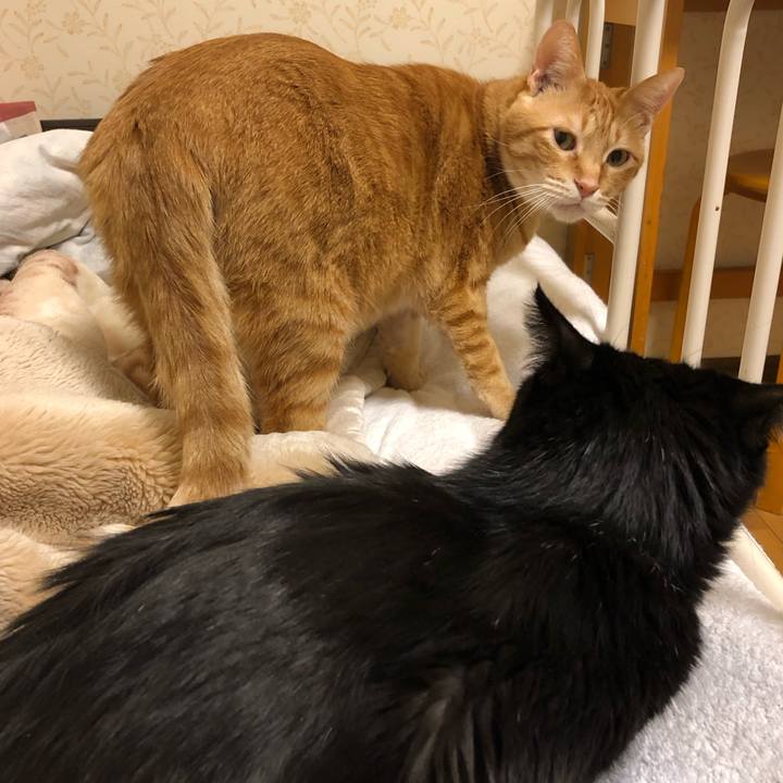 1ca10cdc 4599 4940 a920 c7c95b2932dd 1575552635583