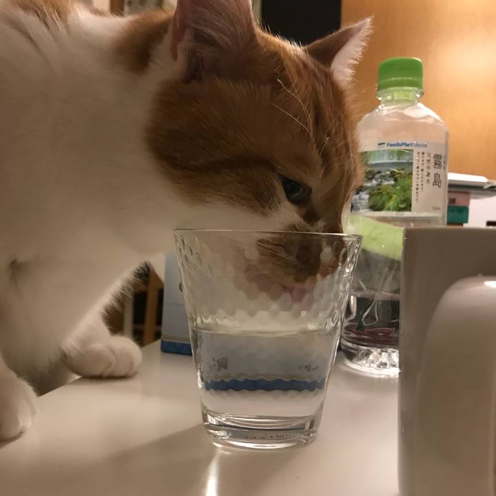 1ca192c0 ff4c 4617 b9de 38578385da16 1519992382860