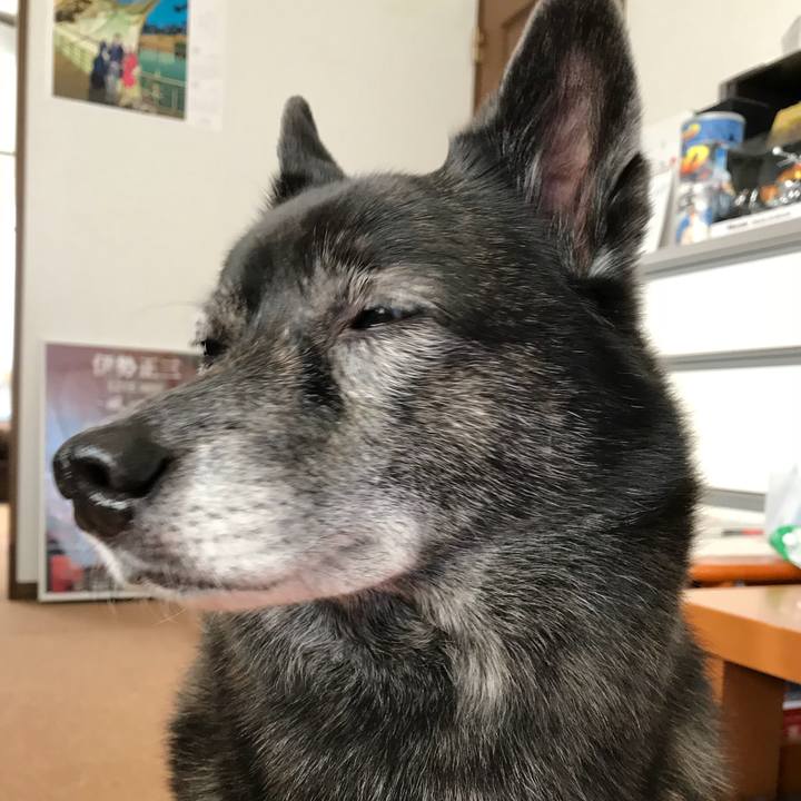 1ca1971a e5de 4d7c a5a5 4644e101d980 1511951785088