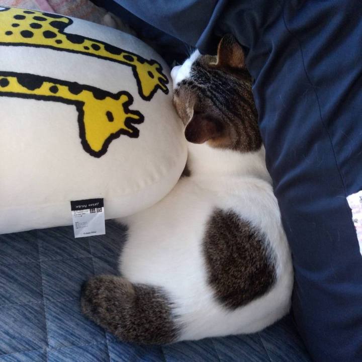 1ca19bb9 b467 4aae b5e6 3766b1287b4d 1664171986478