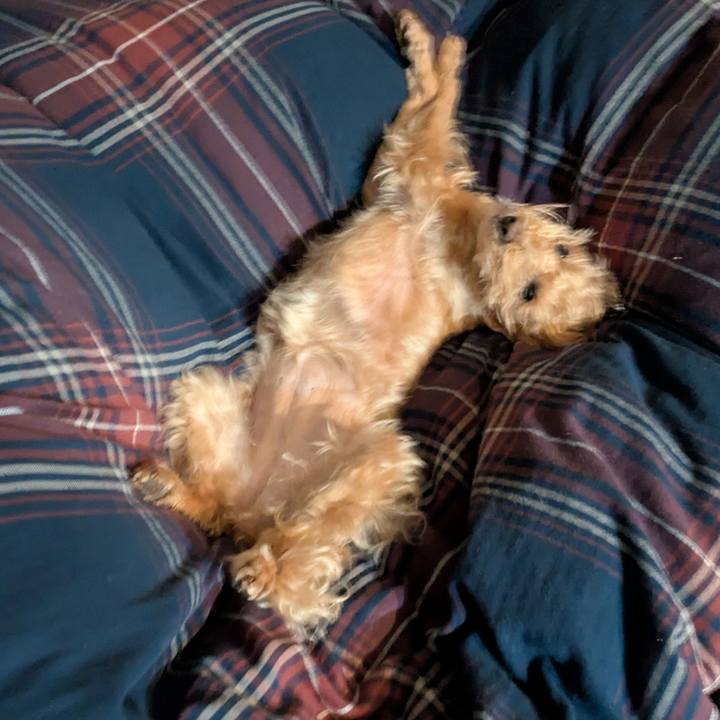 1ca1a509 2ad6 4524 8761 783ca75d1843 1742651871943