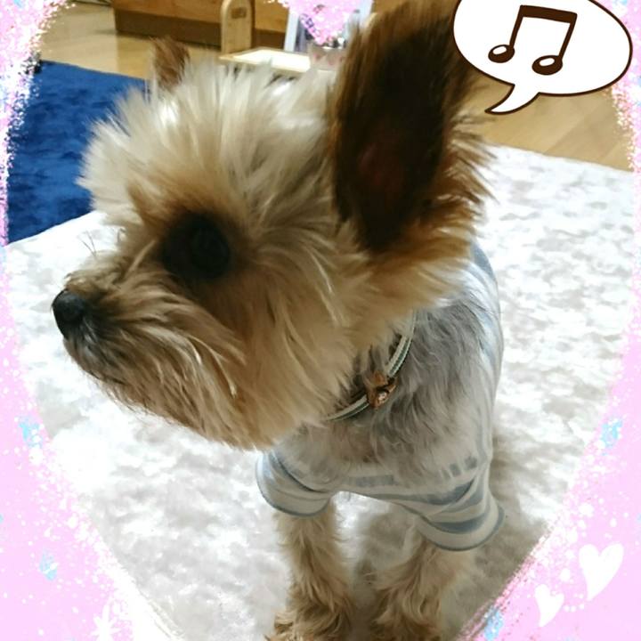 1ca1c781 a07f 4a41 920d 9e9e1d60d9eb 1515245344837