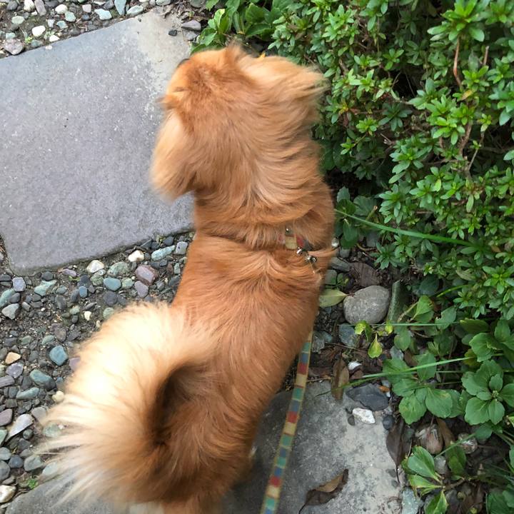 1ca1daa4 194d 4420 b3be 57e0292d55fc 1509921077120