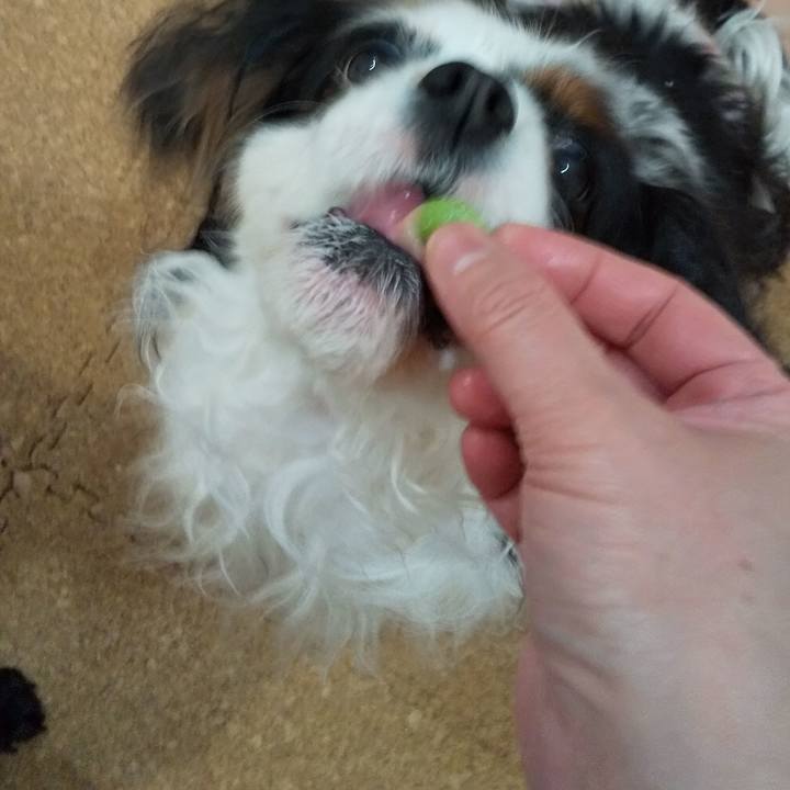 1ca1f1d1 a68c 4b68 8afa b7f93ae3052b 1588251401526