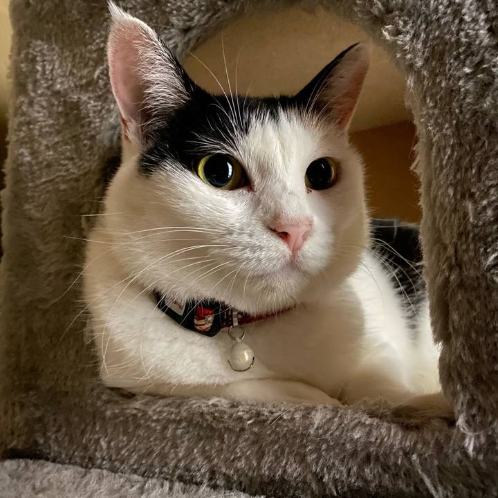 1ca24443 936e 476a 836d 63284854b339 1662202930312