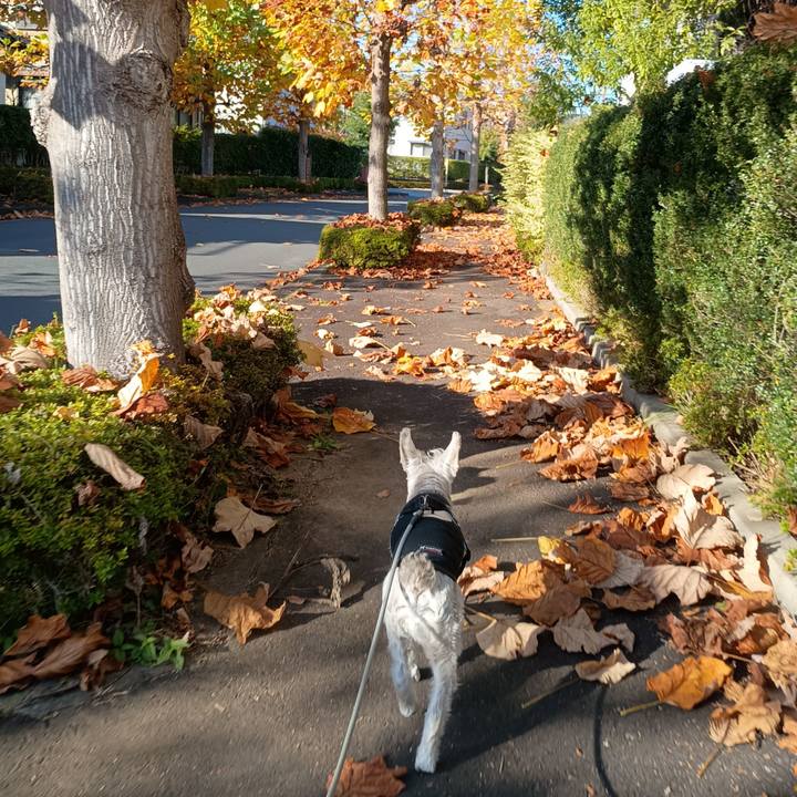 1ca27040 8d92 4abe 9617 52602d5bc54a 1763382172912