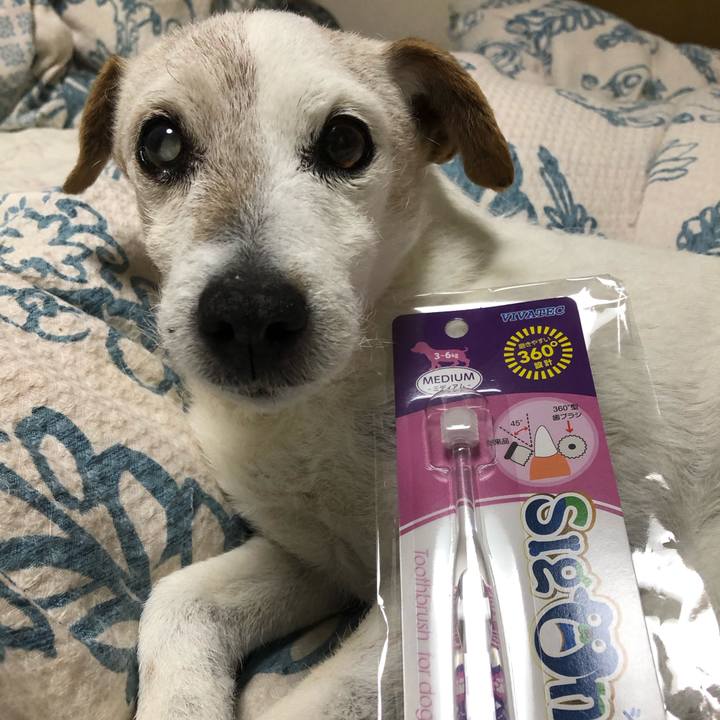 1ca2c005 4a07 4811 9995 e8684f53d50d 1583932781972