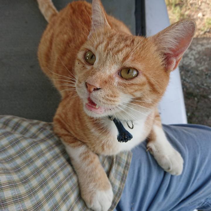 1ca2ce6e 6bbb 4b65 a71a 92115db2afc1 1565508882799