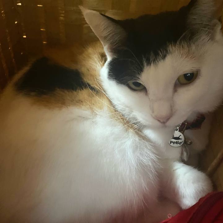 1ca2ef49 40d9 43d1 ad2a a6cc724bcb5a 1717514930059