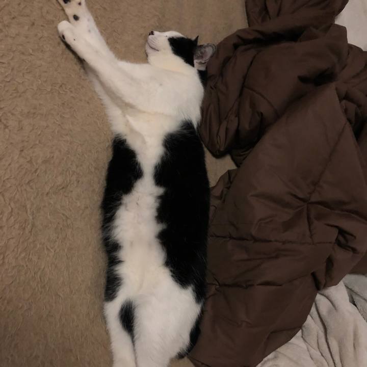 1ca3087a 3a41 457c 8f63 2bbf2608b792 1554483007733