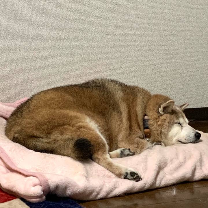 1ca309da 7bf1 42ce a7f7 5545c5130e73 1637587115317