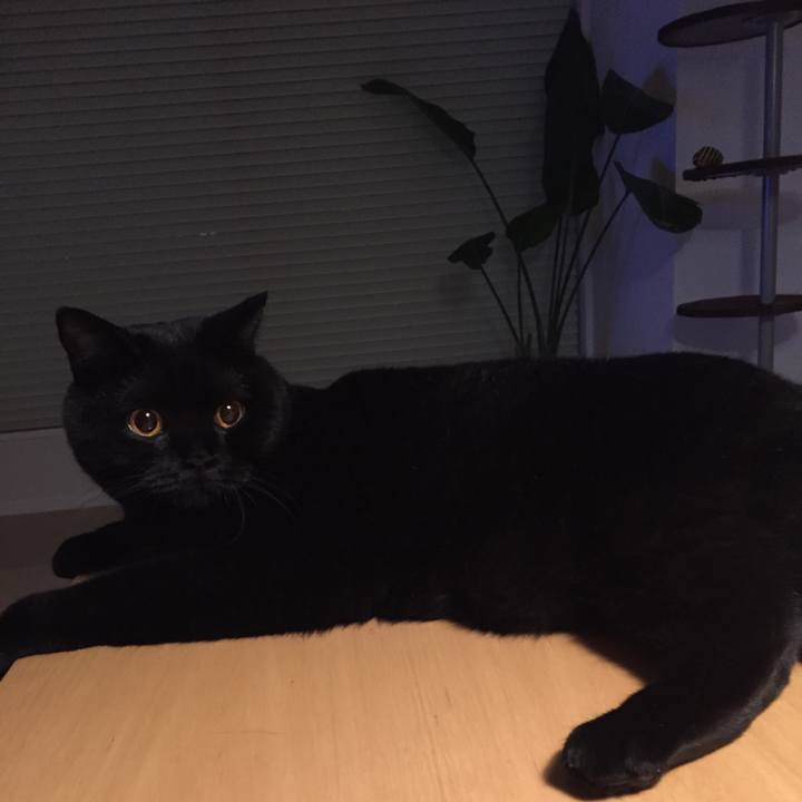 1ca30cfd 51e8 41cc a7f0 ff9dc185600e 1538144037042