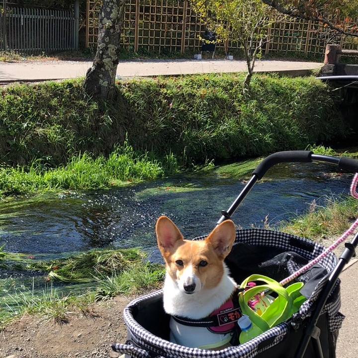 1ca31bc7 e31b 4e80 8c5c cc894c780eb1 1698414943046