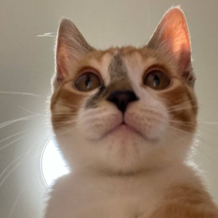 1ca32eb6 1f6c 43d3 a2bd c9ae2698facc 1758614016309