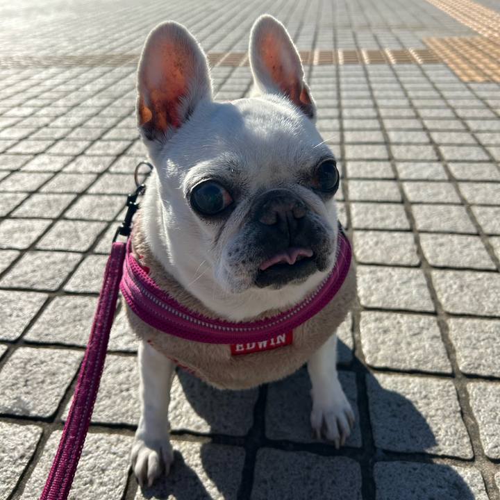 1ca36f41 4473 4802 af84 a5516cd5a8cd 1735032238231