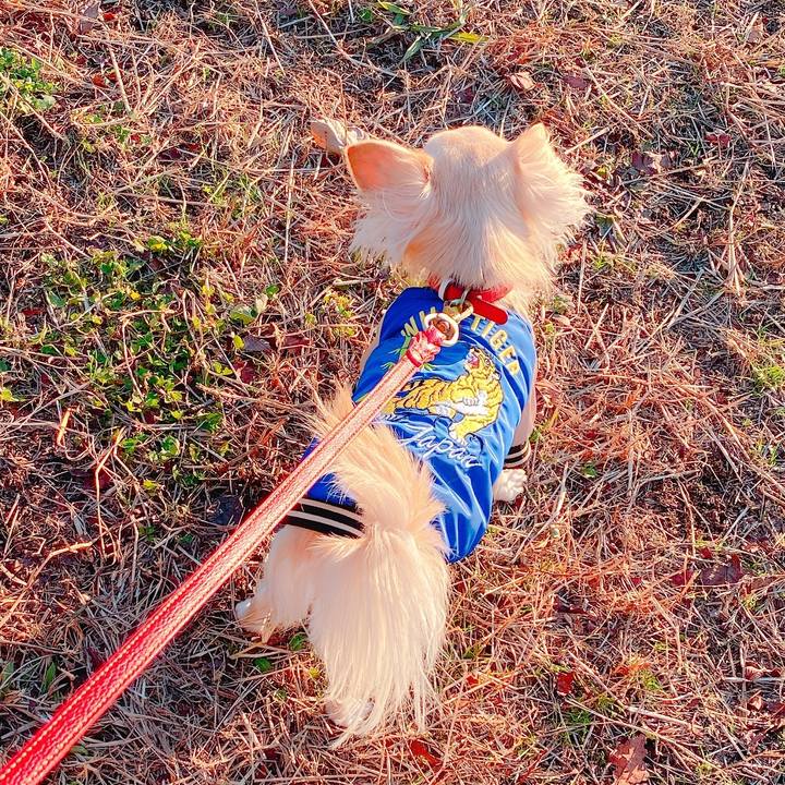 1ca3b492 b77f 4262 ab8f 773f34b71214 1640084042495