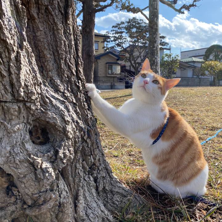 1ca3c5b6 762f 40f3 bb94 98f346312f98 1579494809084