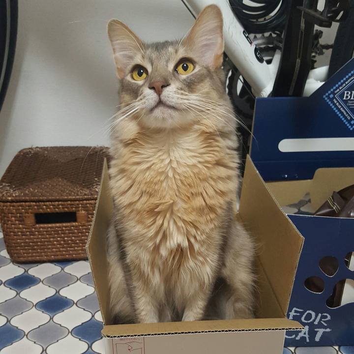 1ca3ca01 227d 4e1c 9f7b 87a93ae42753 1523701866086