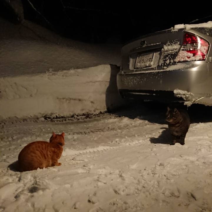 1ca3d5a4 61ba 422c bf0b 1e616886fbc6 1642503918161