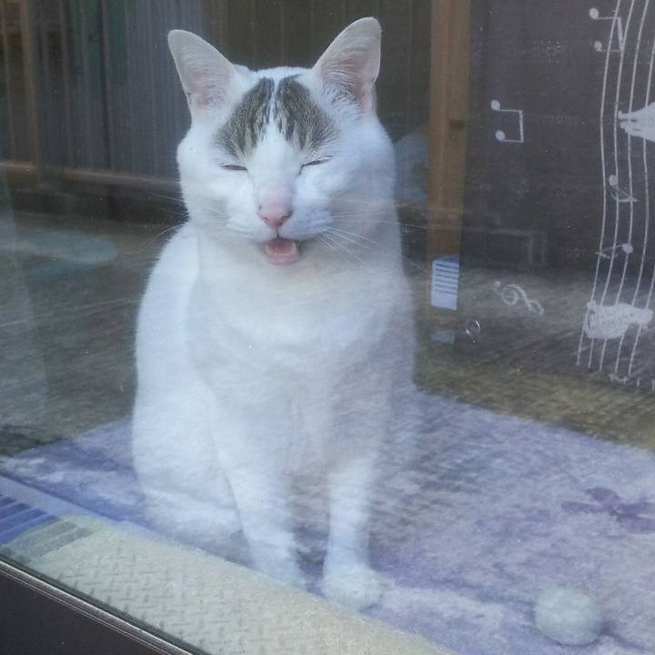 1ca3ddb4 5669 4d4e 90e4 6c828415fb93 1555409379473