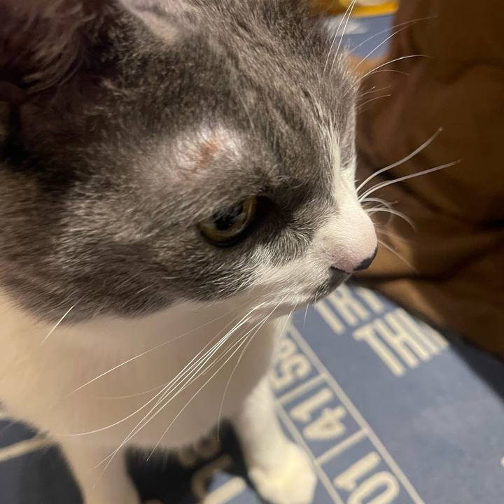 1ca3df7e f394 477a 88ff 70a316973531 1743868767995