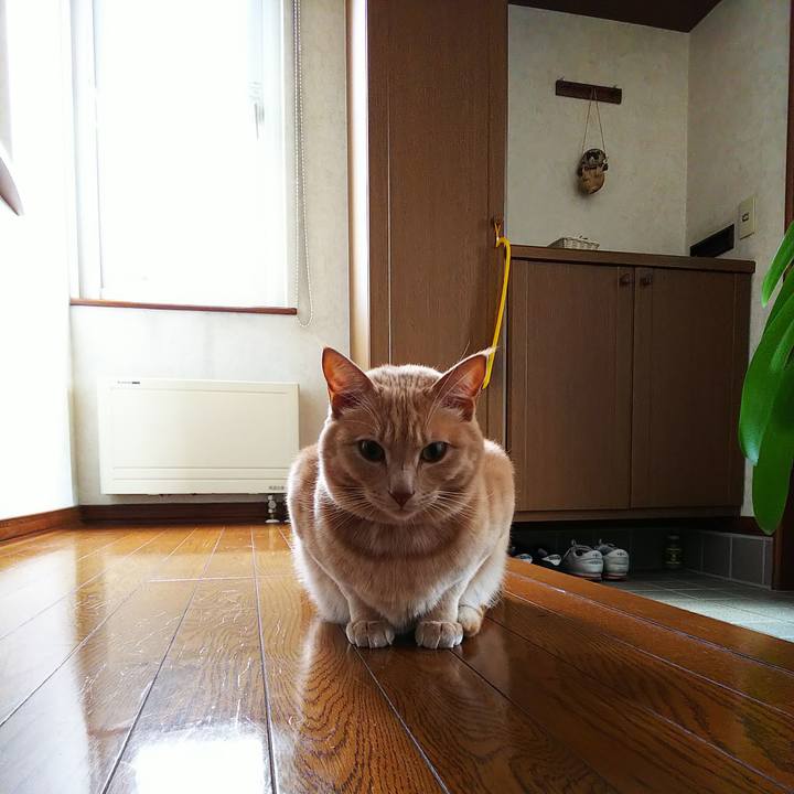 1ca40998 0563 40d1 84b4 78ef2175e255 1572745121499