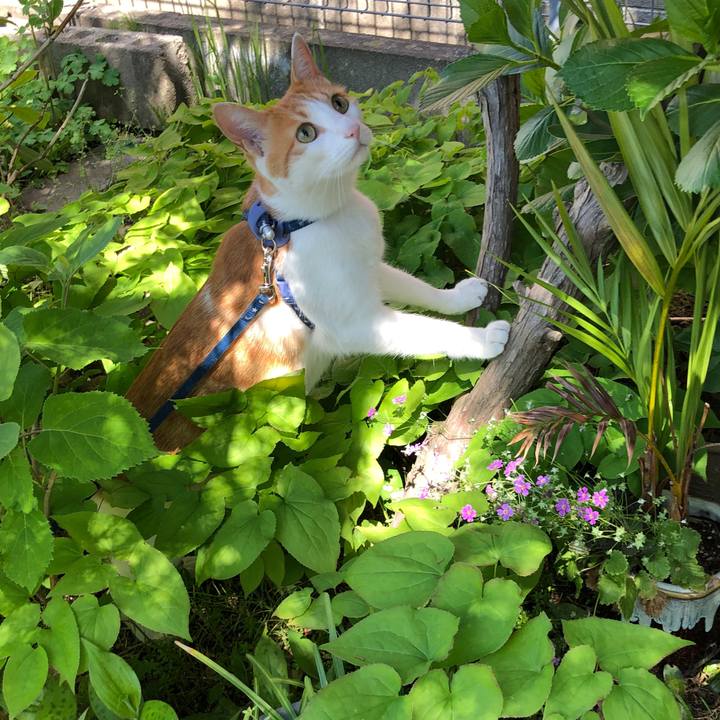 1ca425ed df84 4b19 b116 339a16aaf5b3 1558157940836