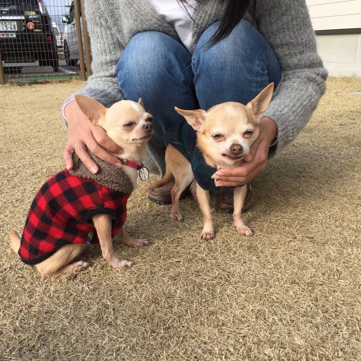 1ca43901 314f 422c 9fab 85d14f374ab4 1516524971482