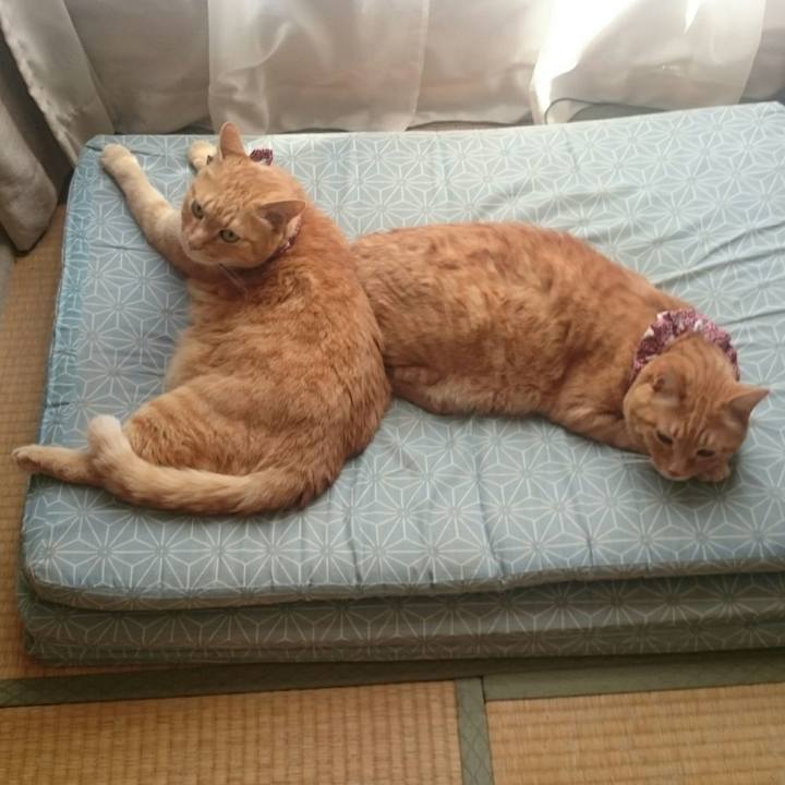 1ca45c99 65a9 48c3 b375 2afe5b97c5d2 1526524213070