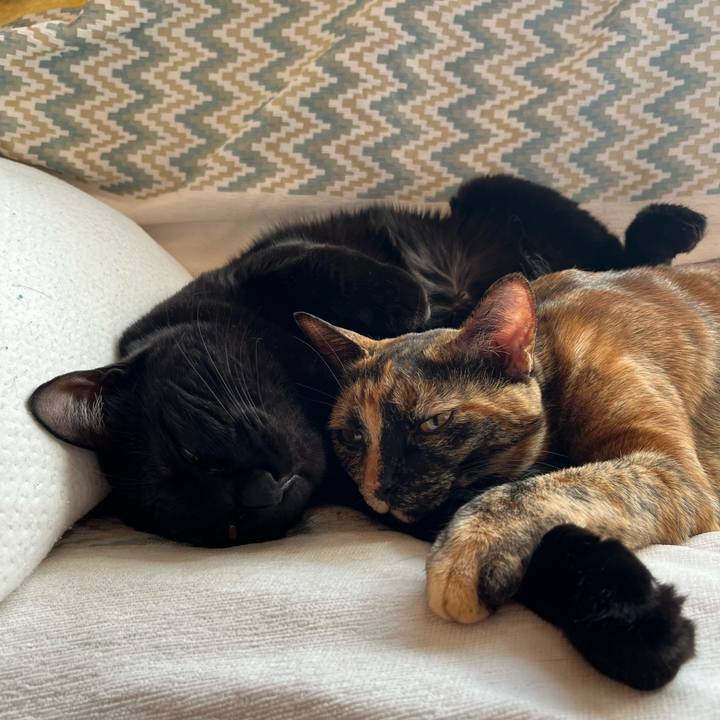 1ca49070 6eed 49bd 9fcb 3fb6ffde4dfa 1684016290420