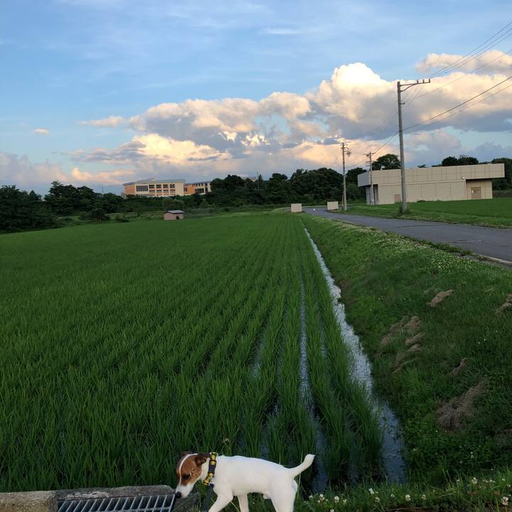 1ca5248b 35fa 4e94 8367 11eb8d8f4ba2 1530447800017