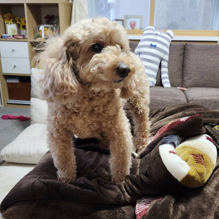 1ca53c8e 1d97 4a68 9cd0 897189dd81aa 1769728760394