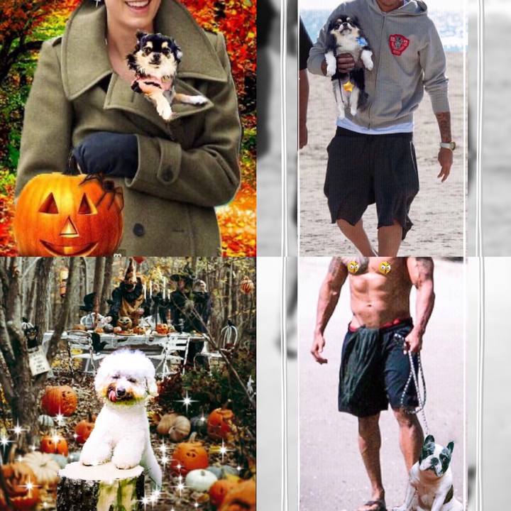 1ca56289 f575 44d9 8998 74bc82bccf2f 1634044708604