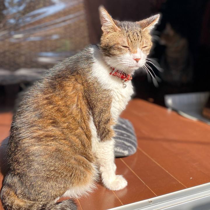 1ca56c6e 64d9 4cf2 ba7a c45505016f8c 1576382214146