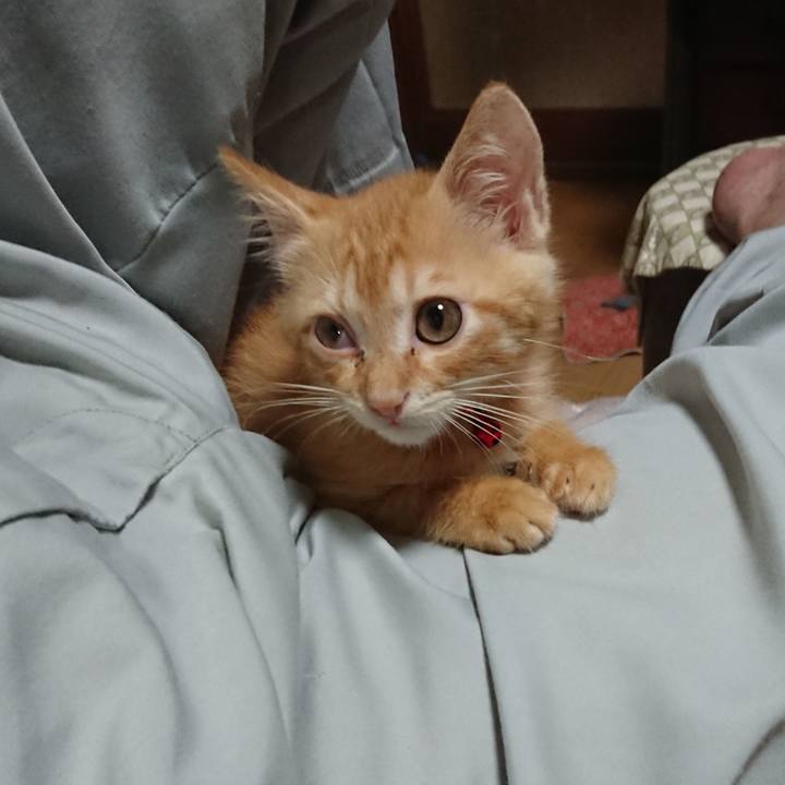 1ca5e377 c249 4280 8de0 fc66f411ea43 1629197191926