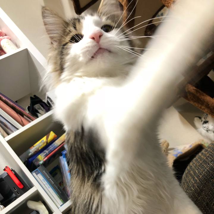 1ca5ffb3 e22a 4438 a3ec 5037c66cba7f 1517878226941