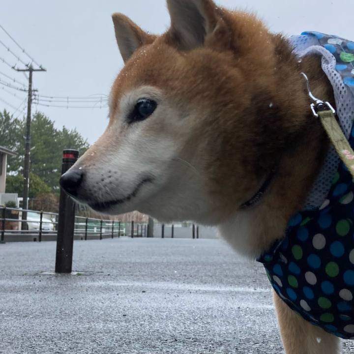 1ca61167 a9e2 4117 b6e4 292039d38c7e 1708648485387