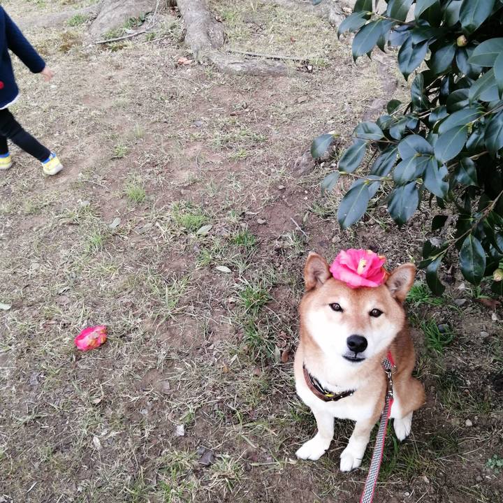 1ca69770 bb7a 4e47 818b fde8456d472b 1612945769518