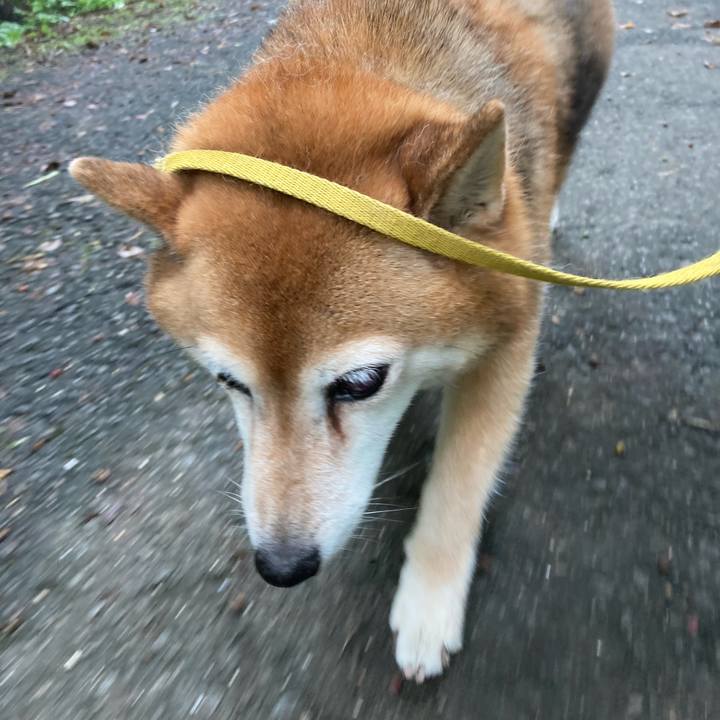 1ca69bfb f485 49bd 8359 f632345ec777 1659696483260