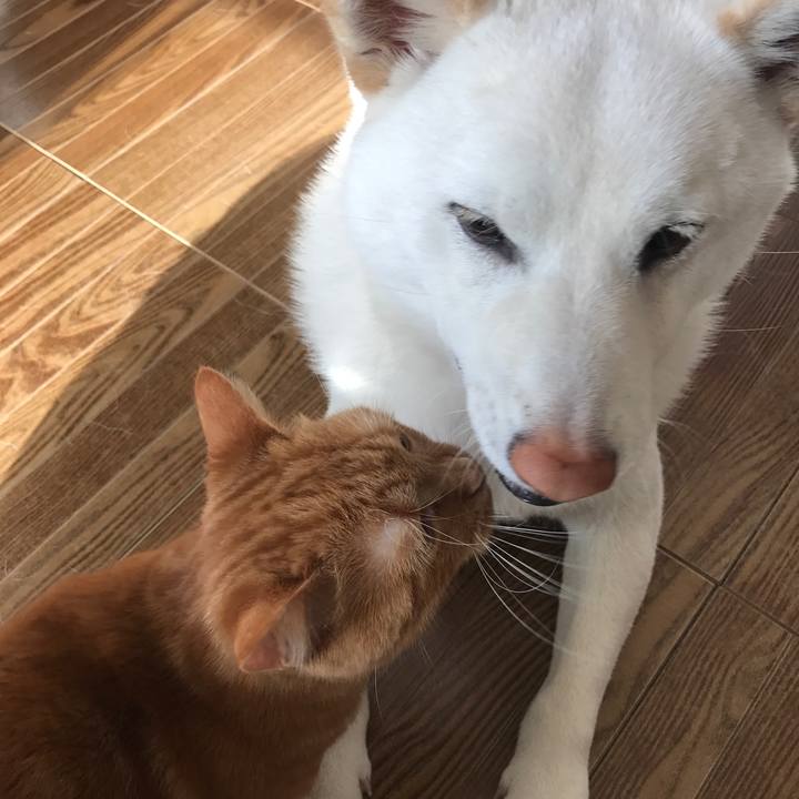 1ca6a8c9 1662 4d0e 9534 b13a7f297c2b 1516146265293