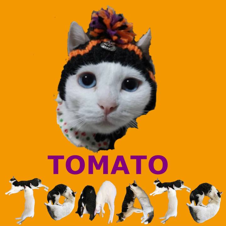 1ca6a907 40dc 4af8 9d2c 3b32bc374bdf 1667461346214