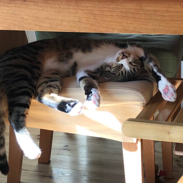 1ca6b87c d7cf 4206 8948 ee4677757125 1602242243756