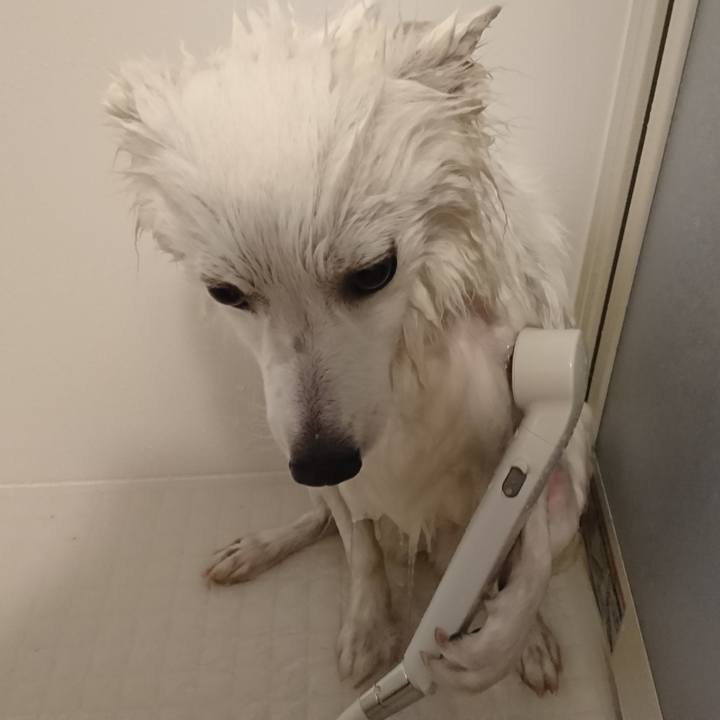 1ca6db1c 4771 4b30 ac69 3f310bfa7d37 1529043829533