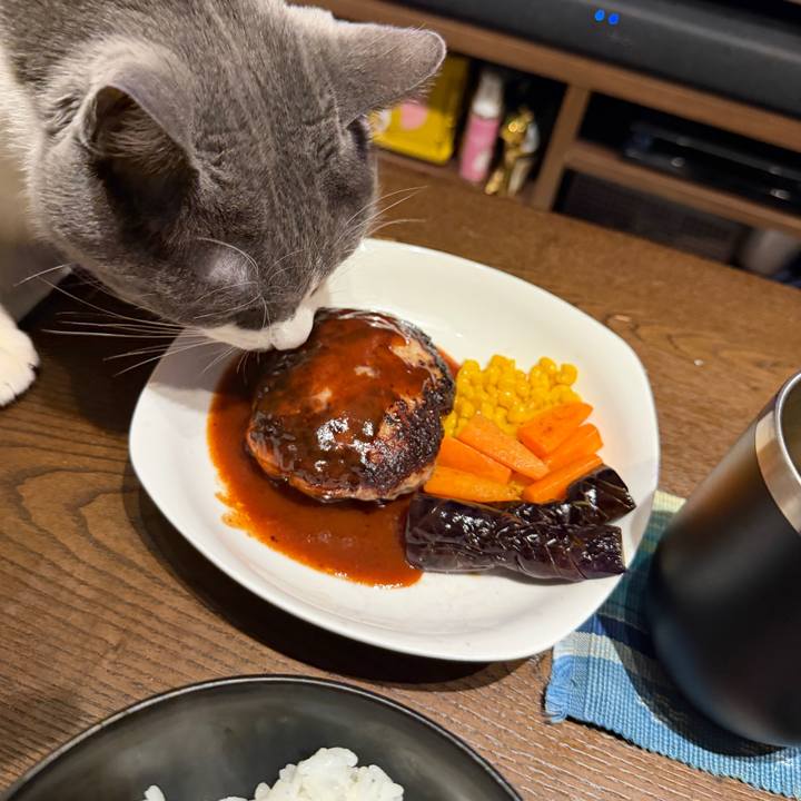 1ca6f275 3f63 46f0 bbfc ee7e7d693440 1771413982931