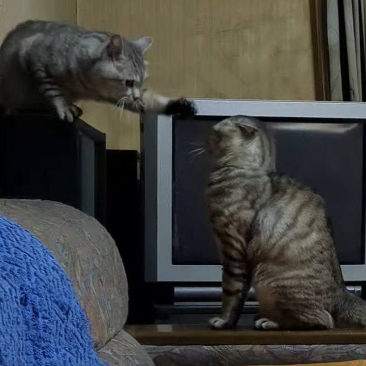 1ca71fd5 3034 4cd5 b9e5 e761b256a5d0 1718290440549